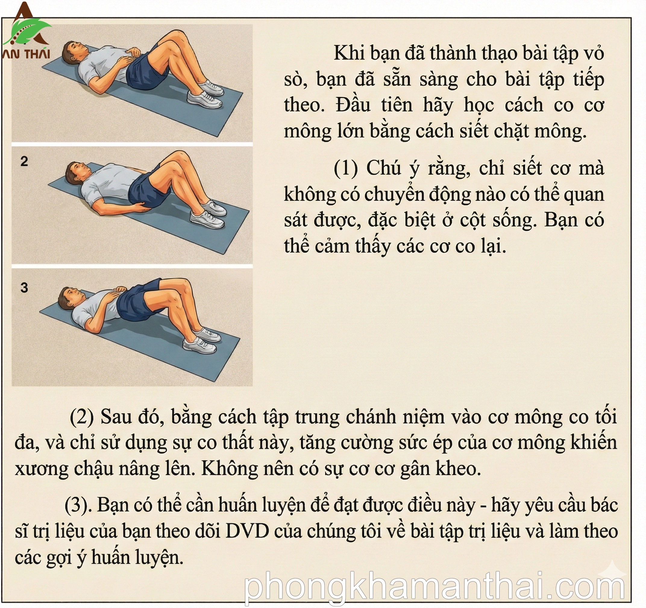 Bài tập Cầu lưng