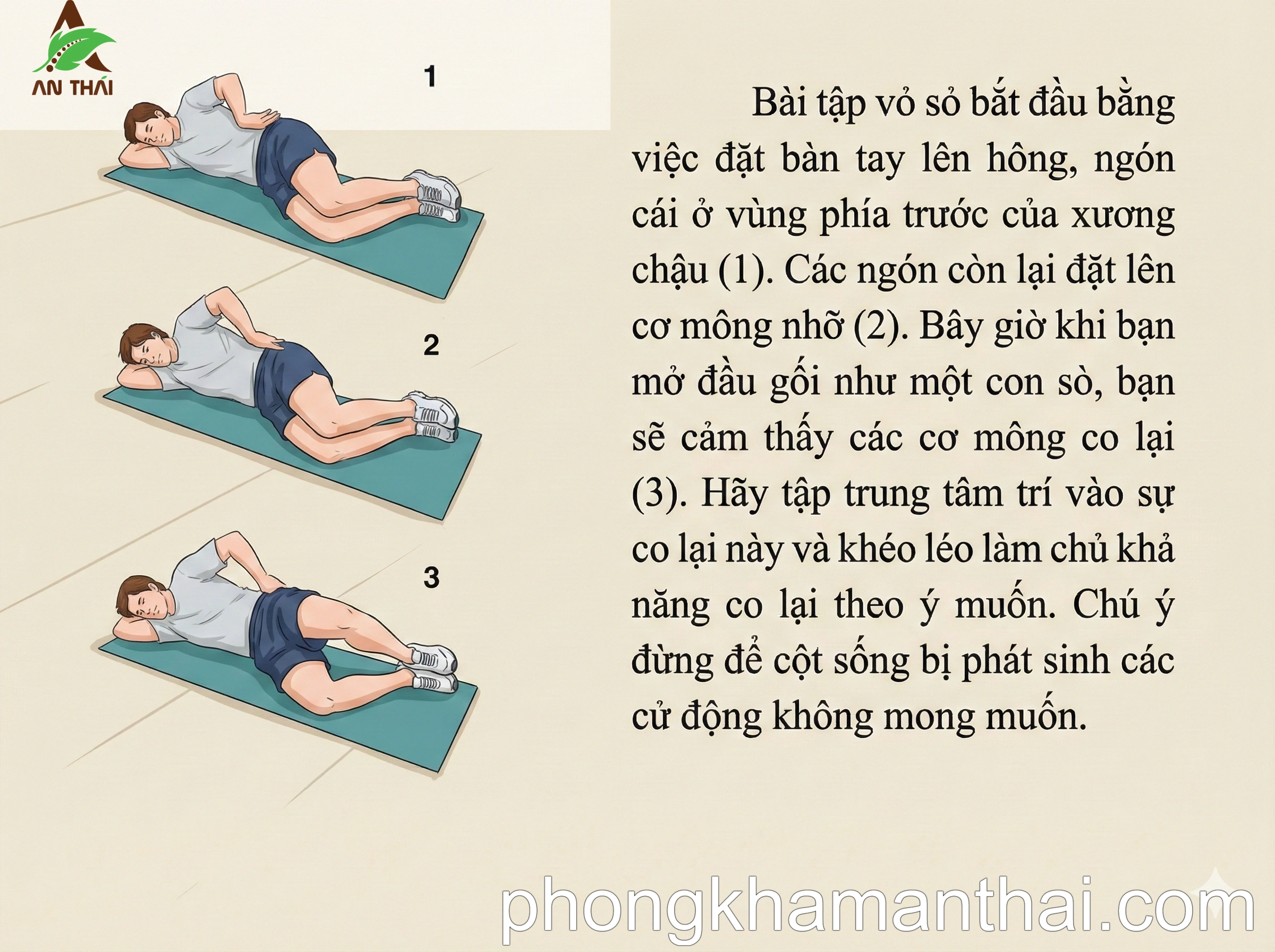 Bài tập Vỏ sò