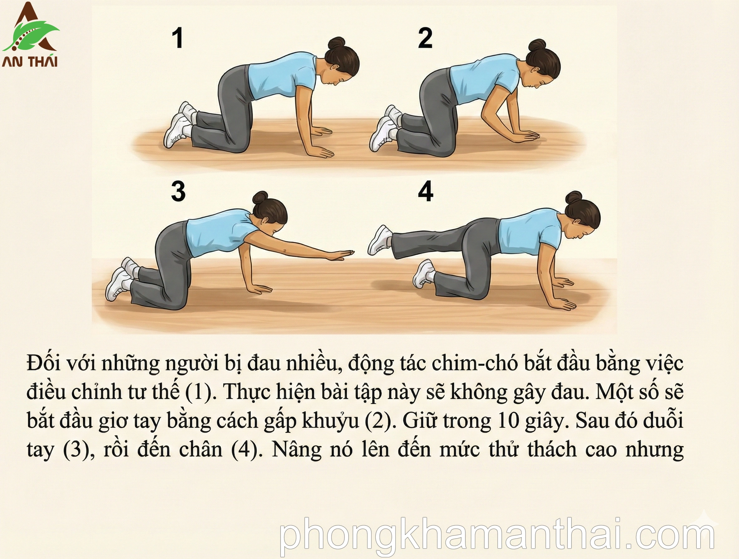 Bài tập Chim Chó 1