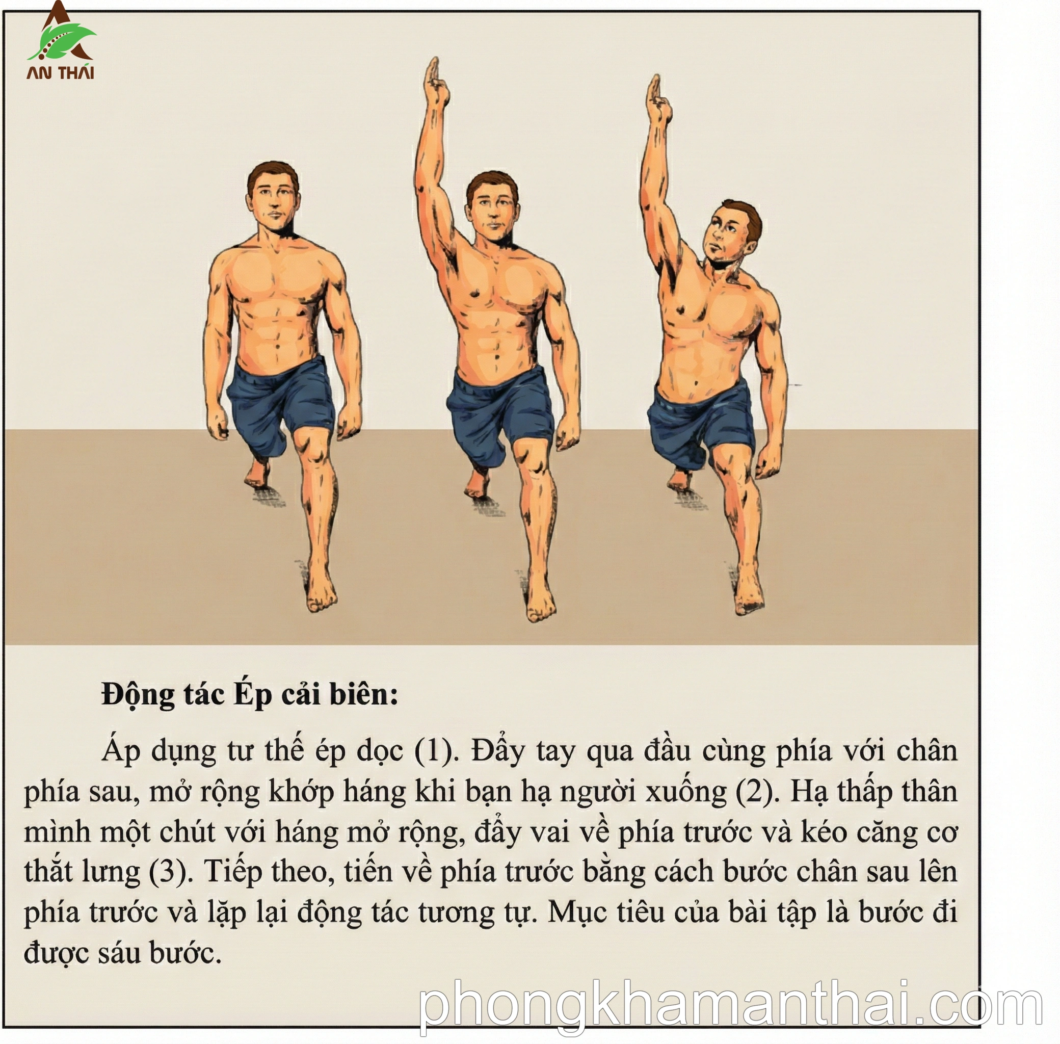 Động tác ép cải biên