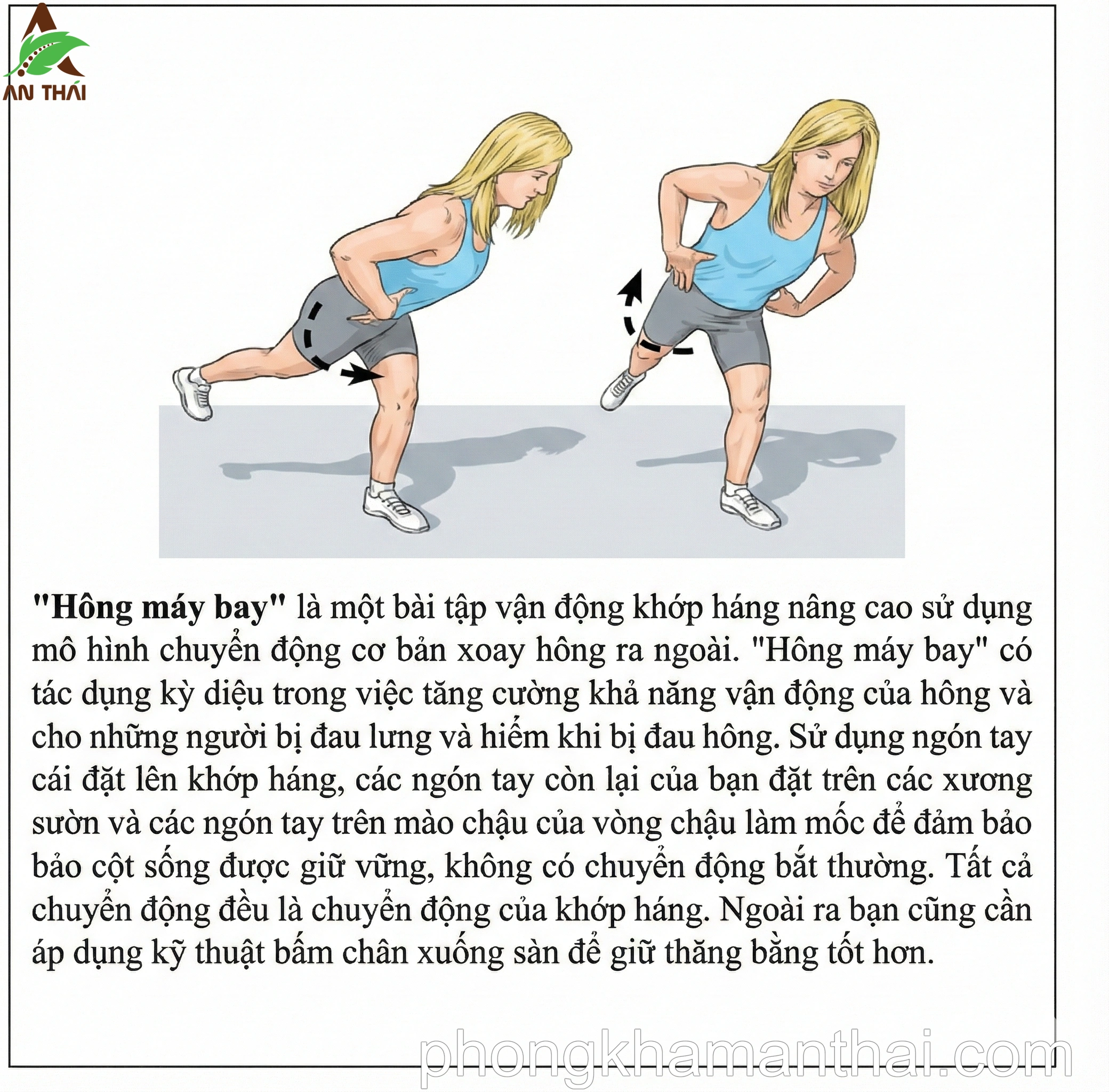 Bài tập Hông máy bay